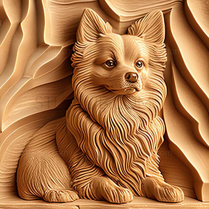 3D model st German Spitz dog (STL)